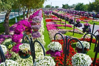 парк цветов  