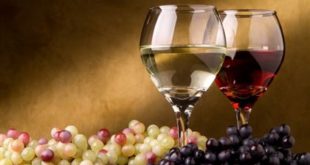 Правила выбора вина к праздничному застолью