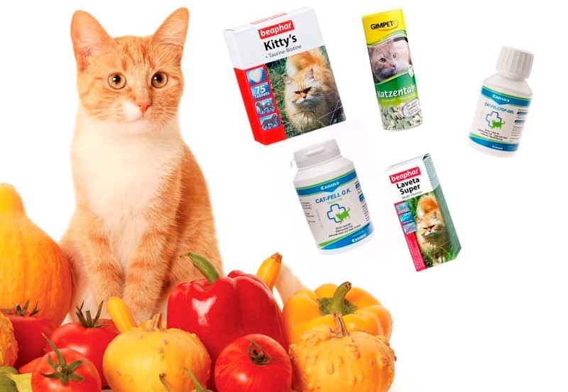 Какие витамины давать кошкам?