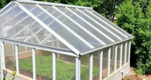 7626f4a082c7b59b74baaecad59b5135